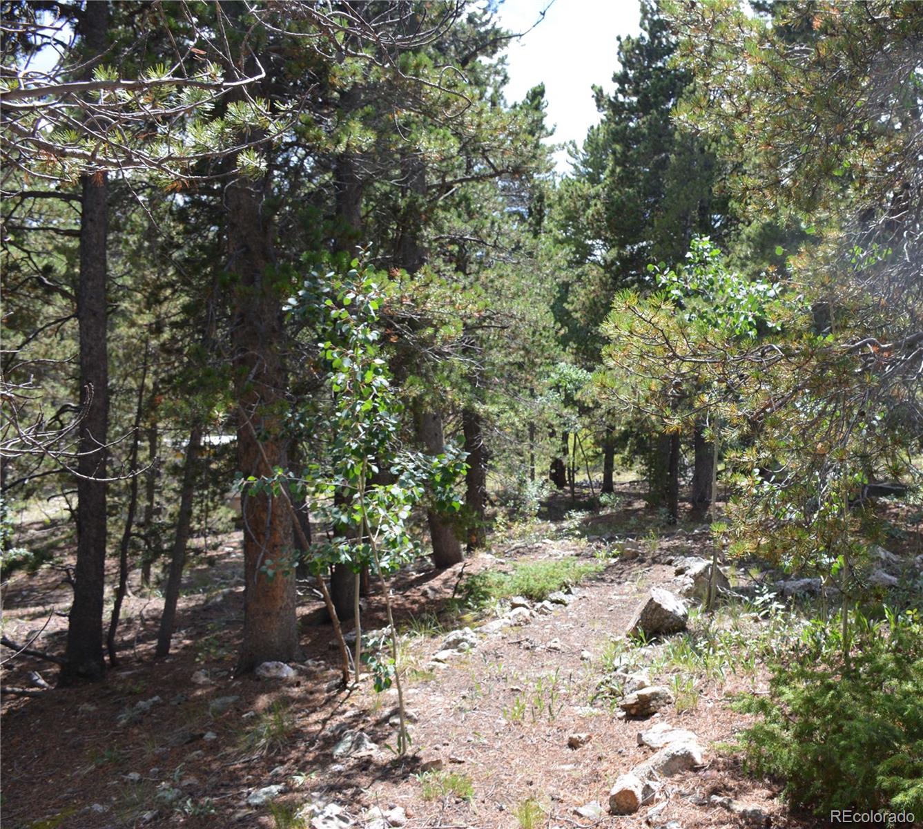 37 Forest Hill Road Black Hawk, CO 80422 - Photo 10 of 19