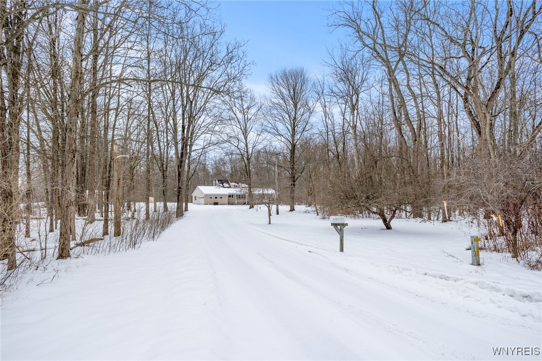 5520 Mayne Road Bethany, NY 14054 - Photo 2 of 49