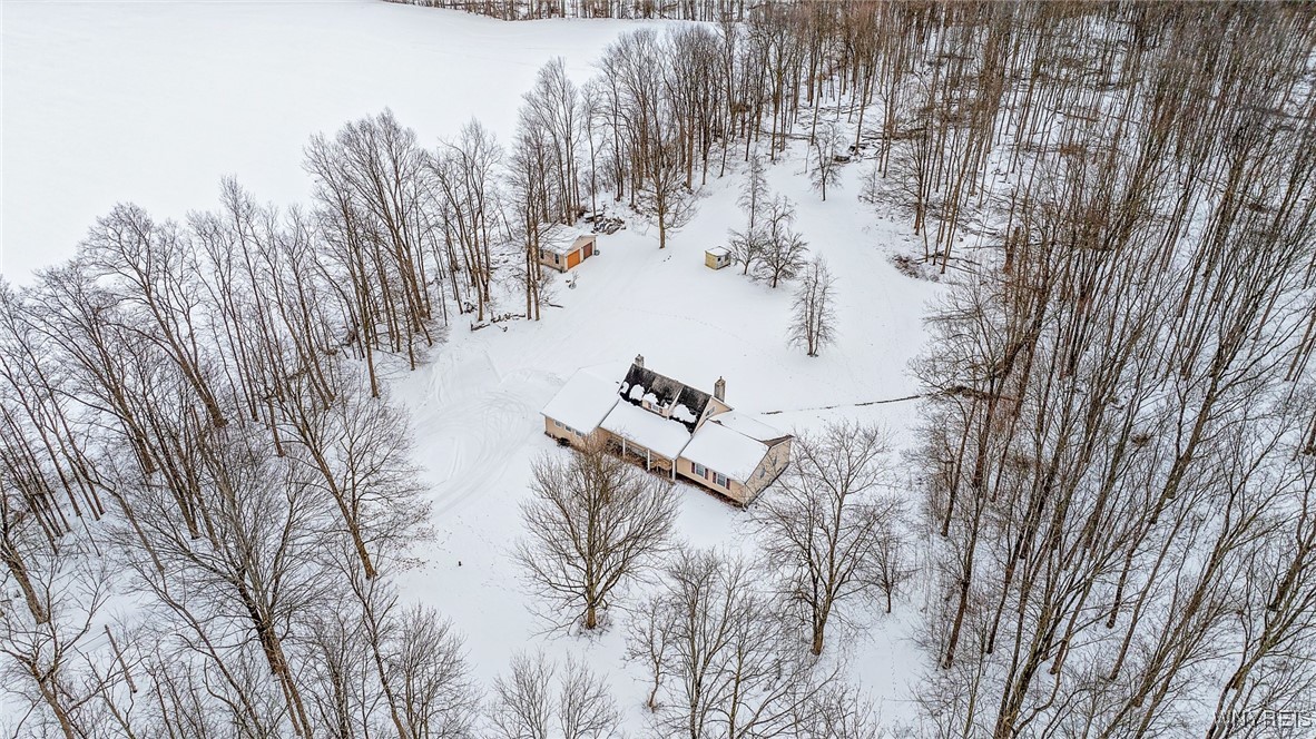 5520 Mayne Road Bethany, NY 14054 - Photo 41 of 49