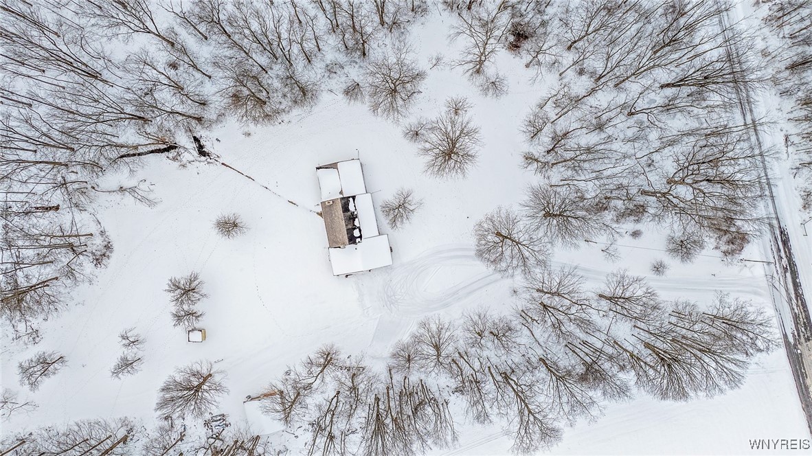 5520 Mayne Road Bethany, NY 14054 - Photo 43 of 49