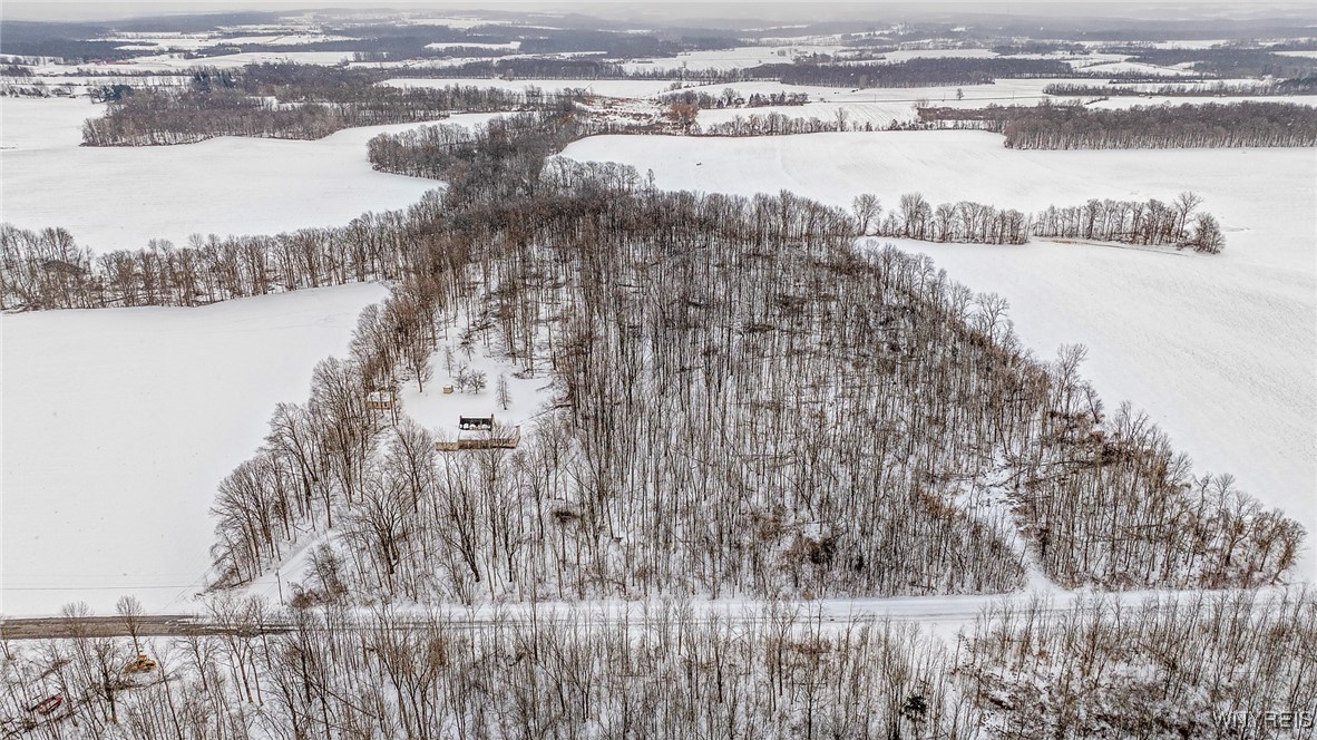 5520 Mayne Road Bethany, NY 14054 - Photo 44 of 49