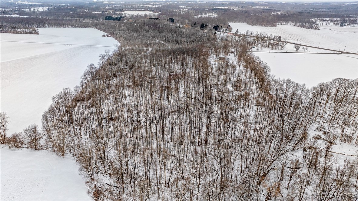 5520 Mayne Road Bethany, NY 14054 - Photo 46 of 49