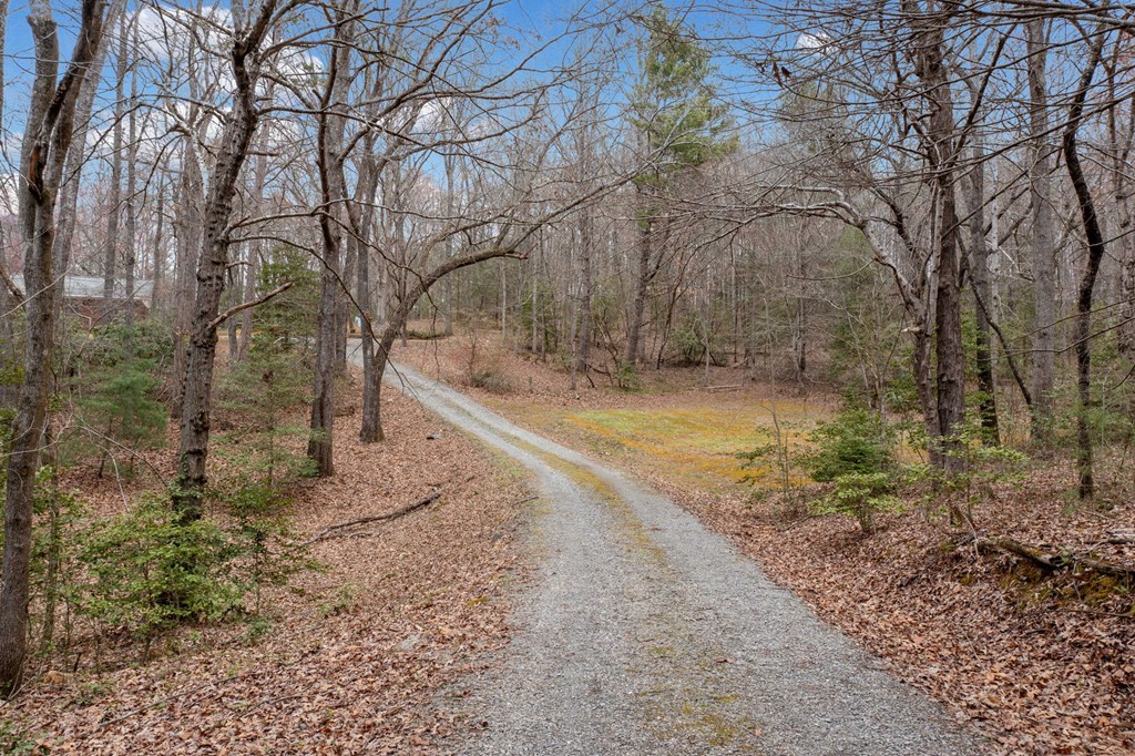 320 Old Highway Blue Ridge, GA 30513 - Photo 26 of 41