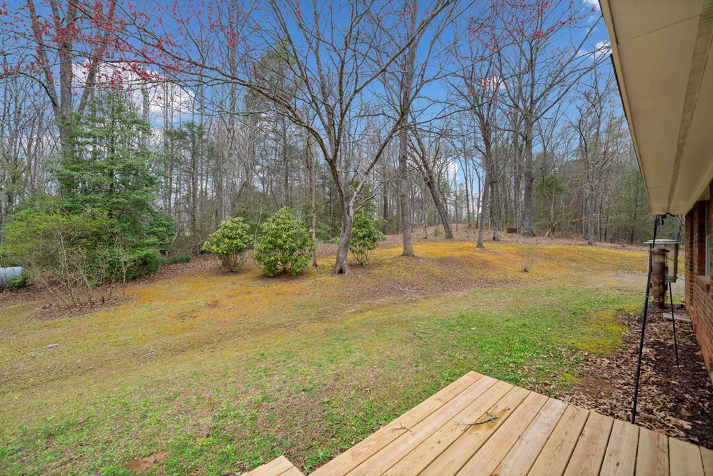 320 Old Highway Blue Ridge, GA 30513 - Photo 32 of 41