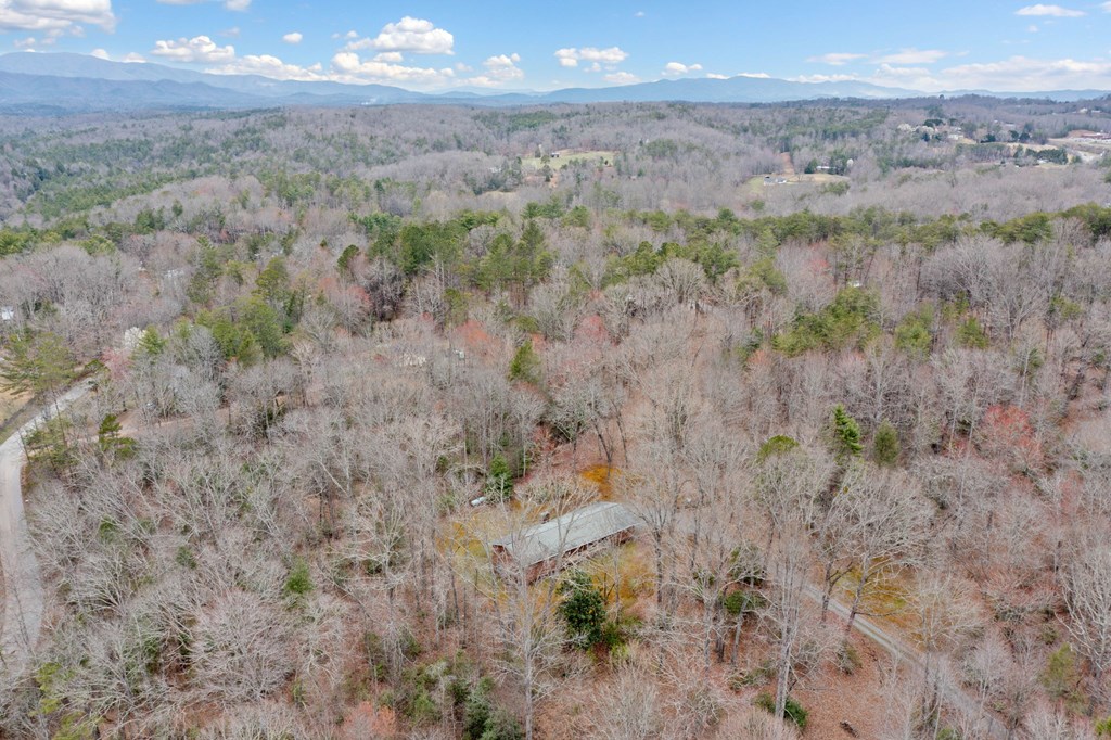 320 Old Highway Blue Ridge, GA 30513 - Photo 35 of 41