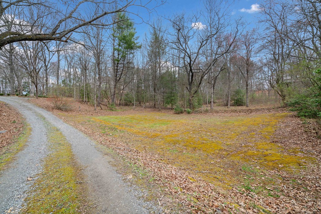 320 Old Highway Blue Ridge, GA 30513 - Photo 38 of 41