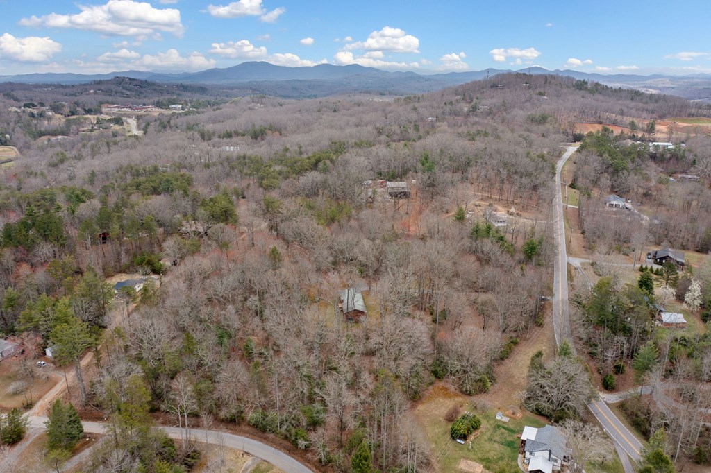 320 Old Highway Blue Ridge, GA 30513 - Photo 39 of 41