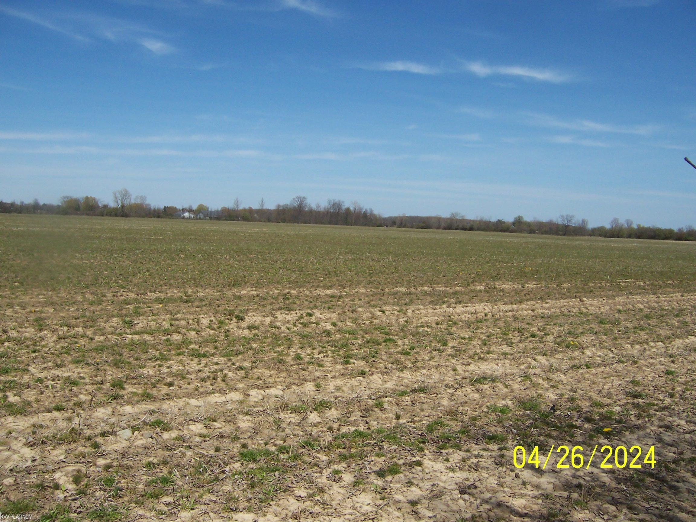 Stoddard Road Columbus, MI 48063 - Photo 5 of 5