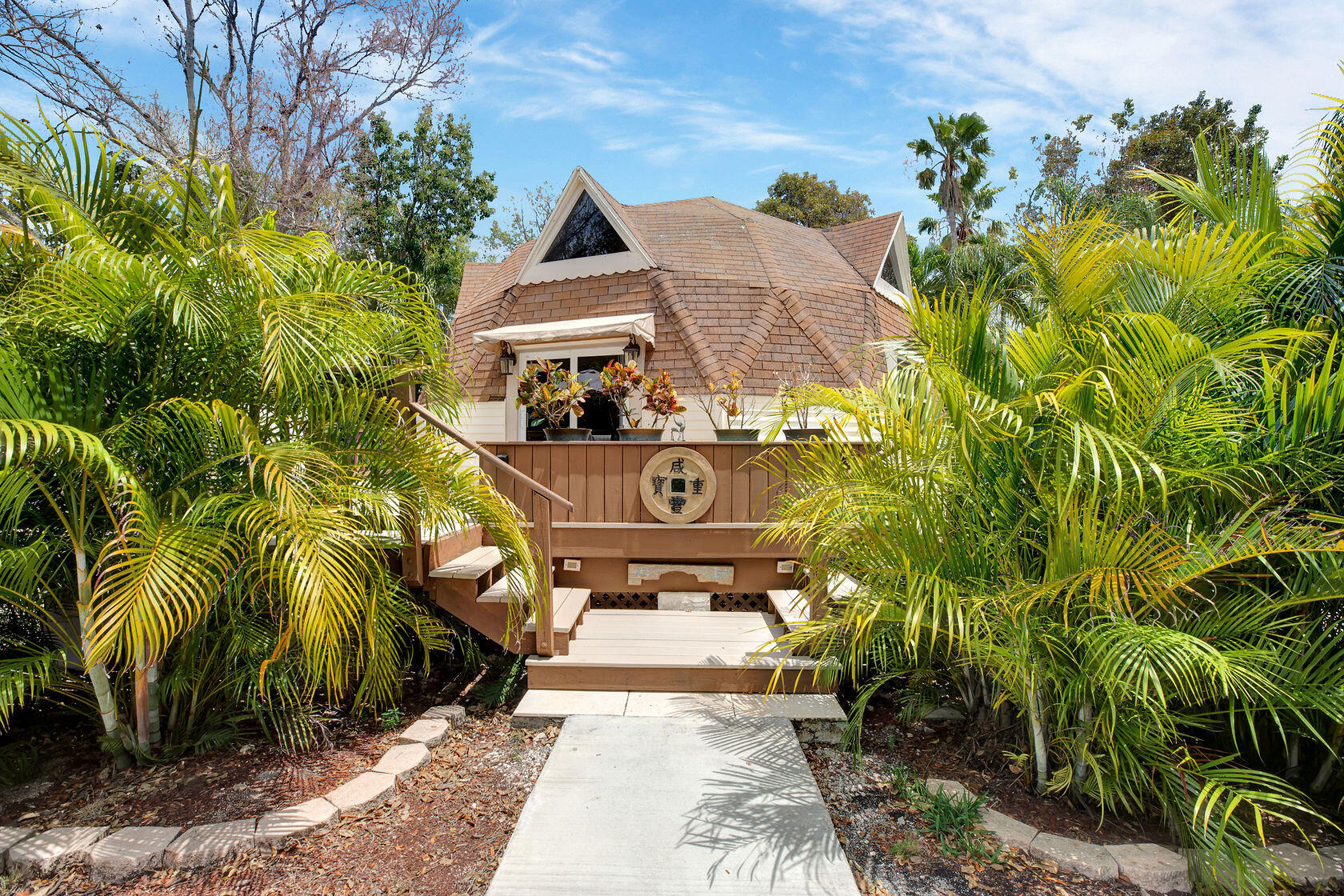 a view of a small yard with plants