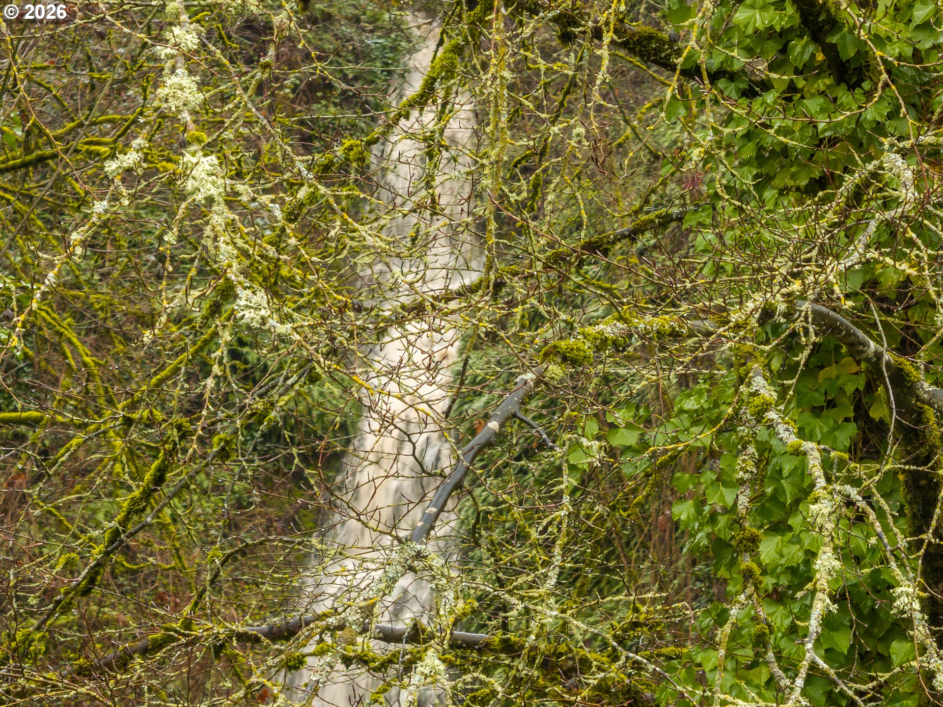 5135 Northwest St Helens Road Portland, OR 97210 - Photo 35 of 36