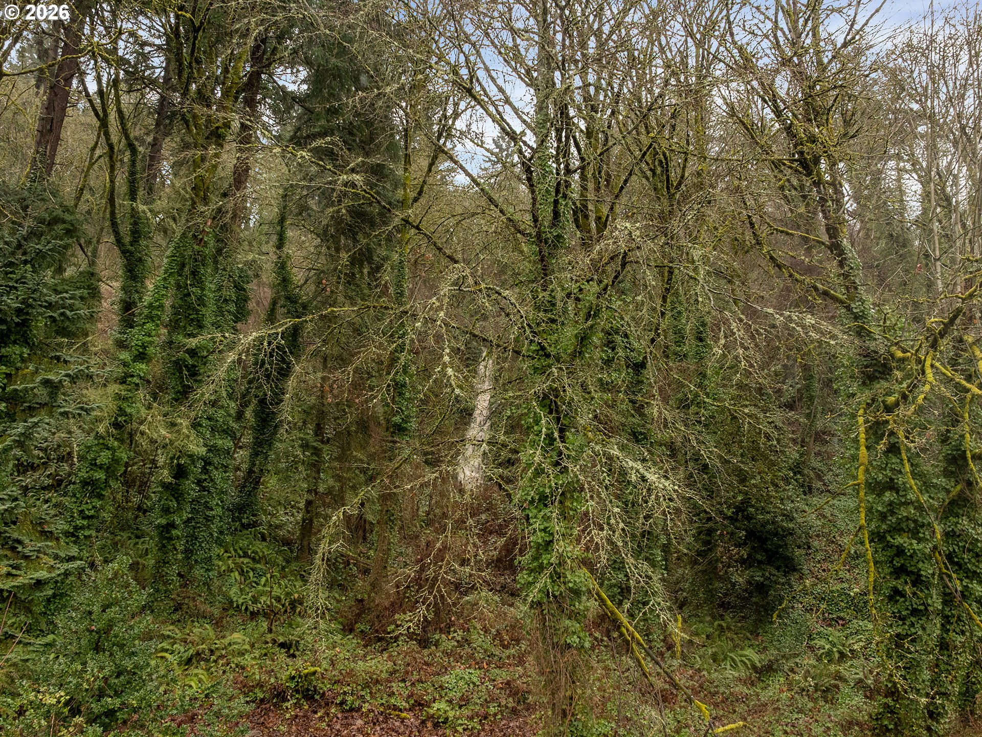 5135 Northwest St Helens Road Portland, OR 97210 - Photo 36 of 36