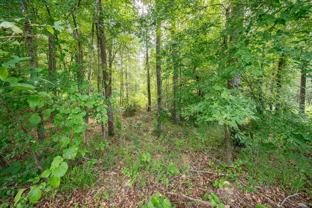 $999,900 | 179 County Road 0071, Waverly Hall, GA 31831