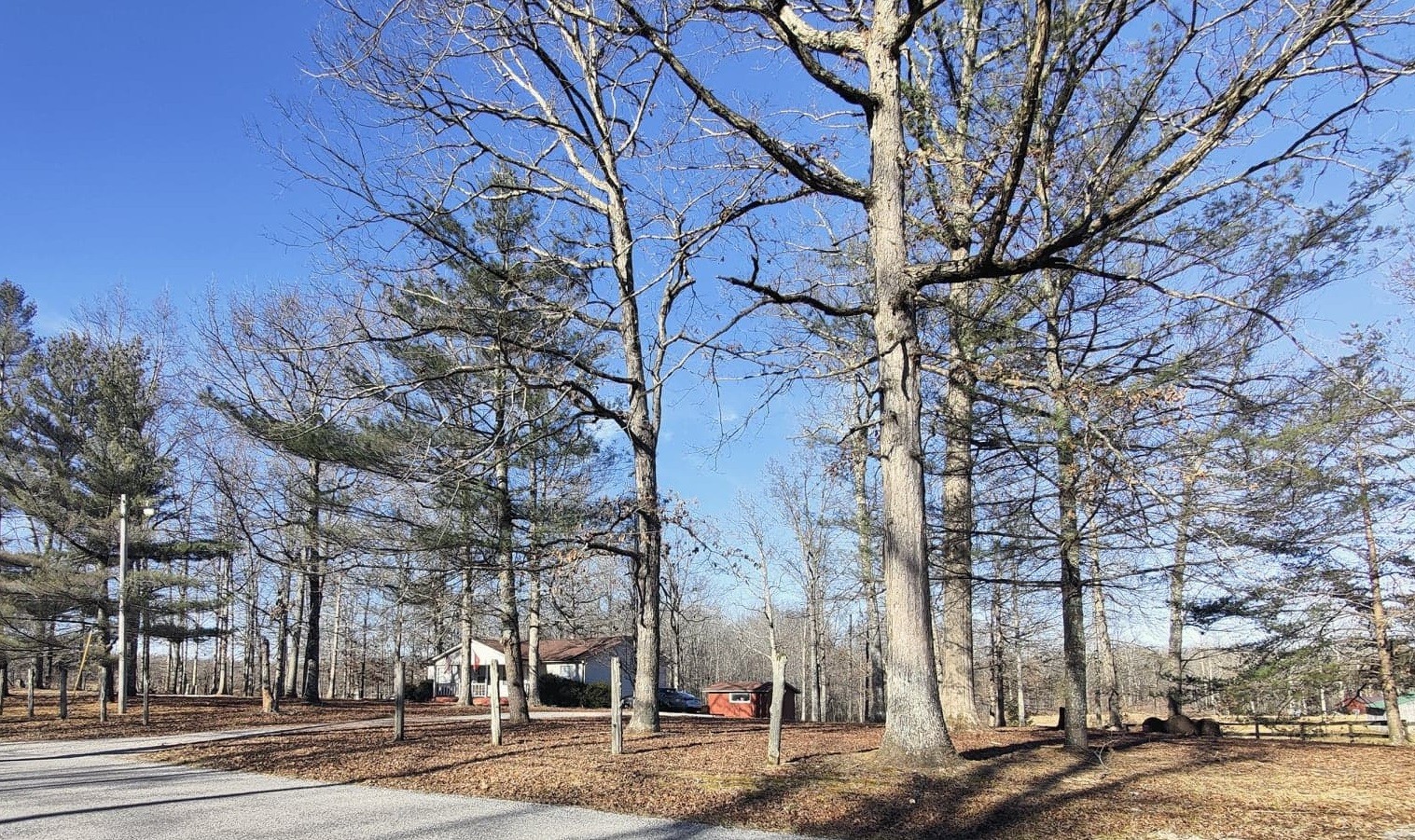 903 Eaglenest Road Monteagle, TN 37356 - Photo 2 of 26 Gallery Image 2