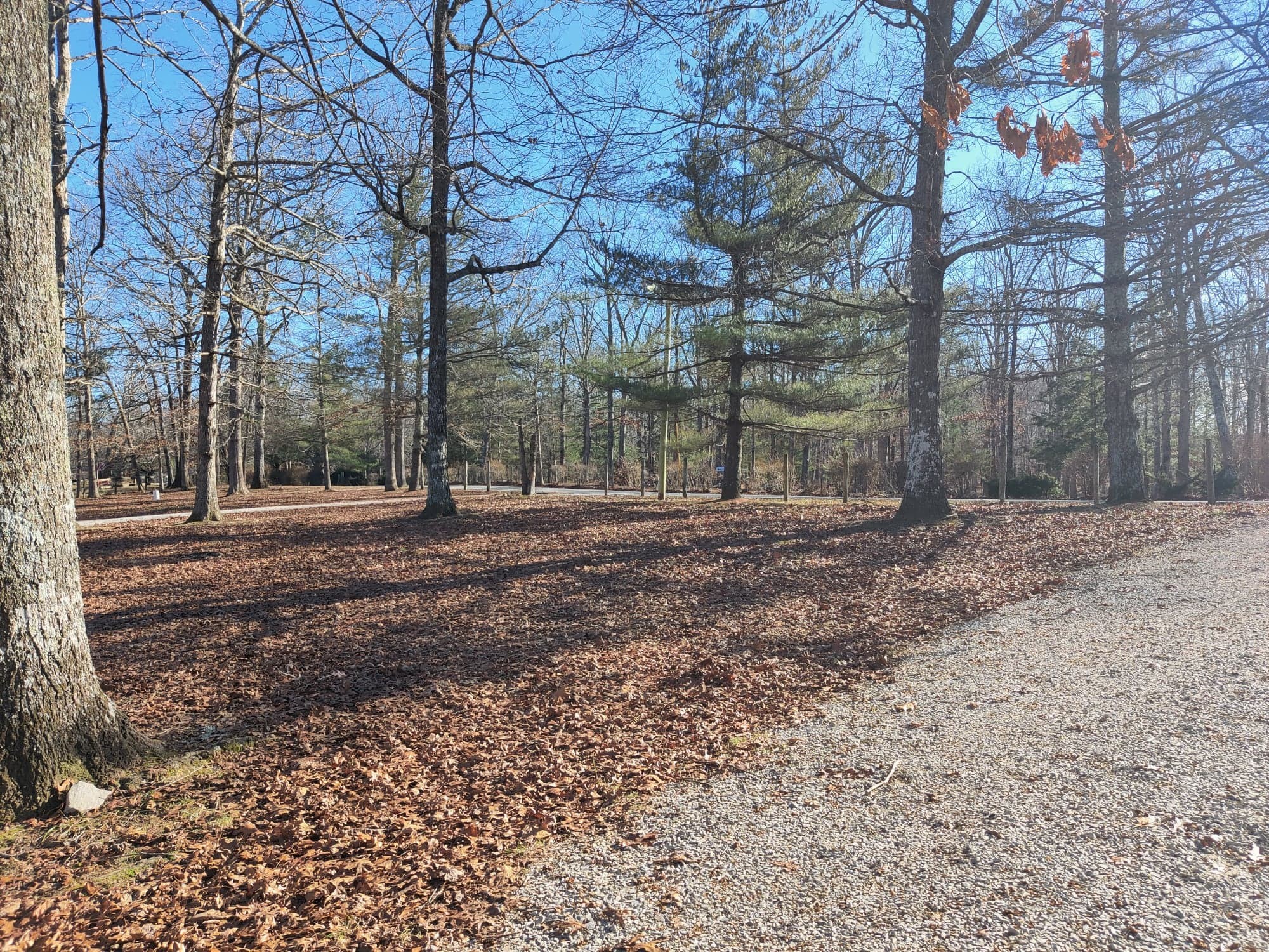 903 Eaglenest Road Monteagle, TN 37356 - Photo 3 of 26 Gallery Image 3