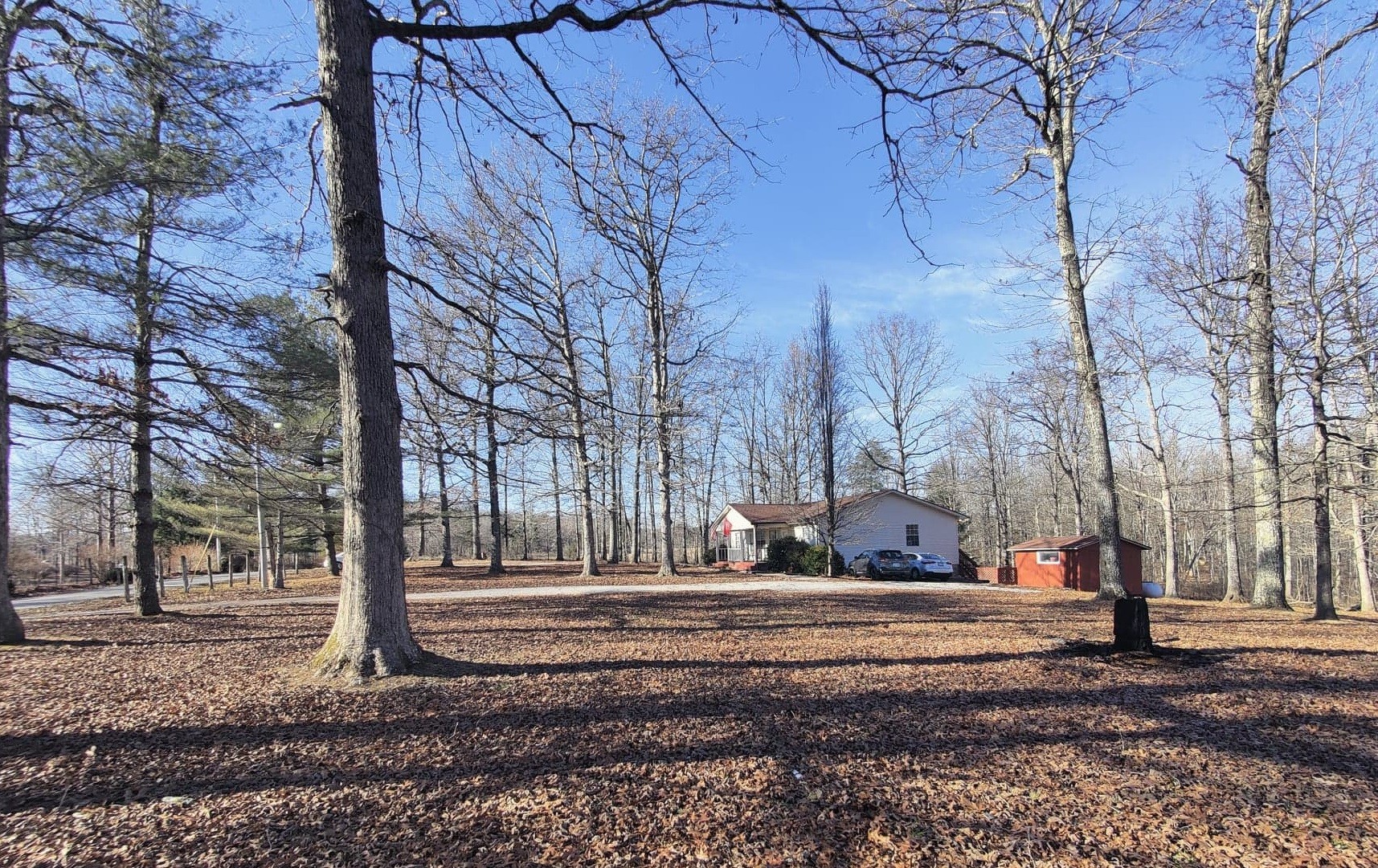 903 Eaglenest Road Monteagle, TN 37356 - Photo 4 of 26 Gallery Image 4