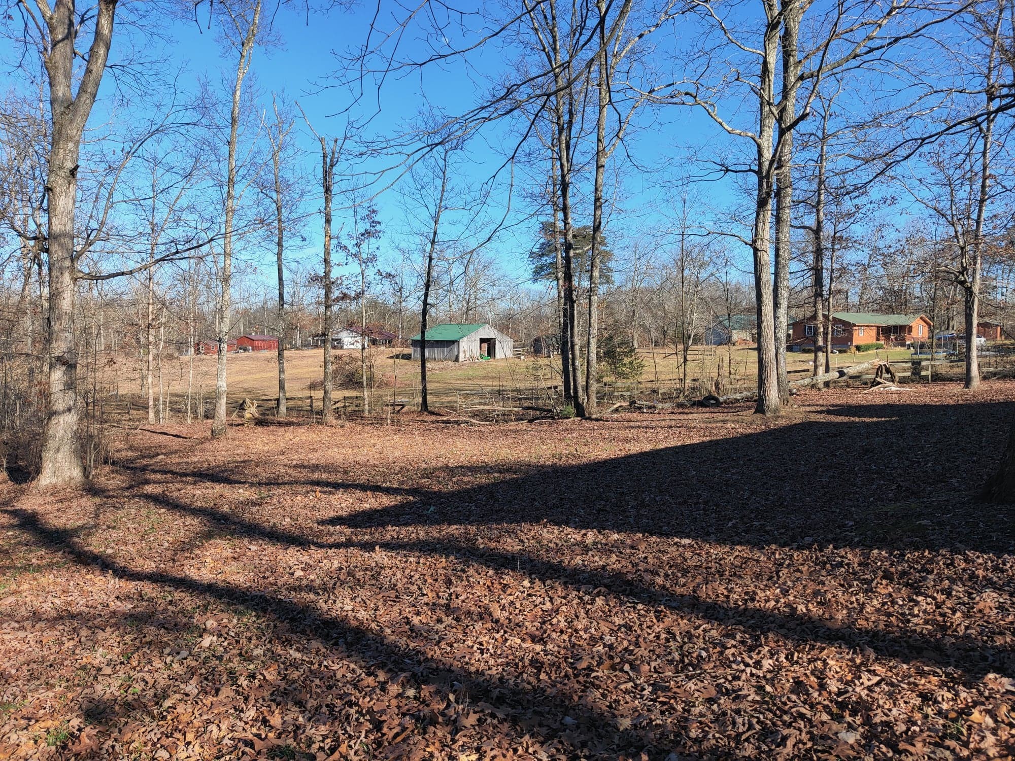 903 Eaglenest Road Monteagle, TN 37356 - Photo 5 of 26 Gallery Image 5