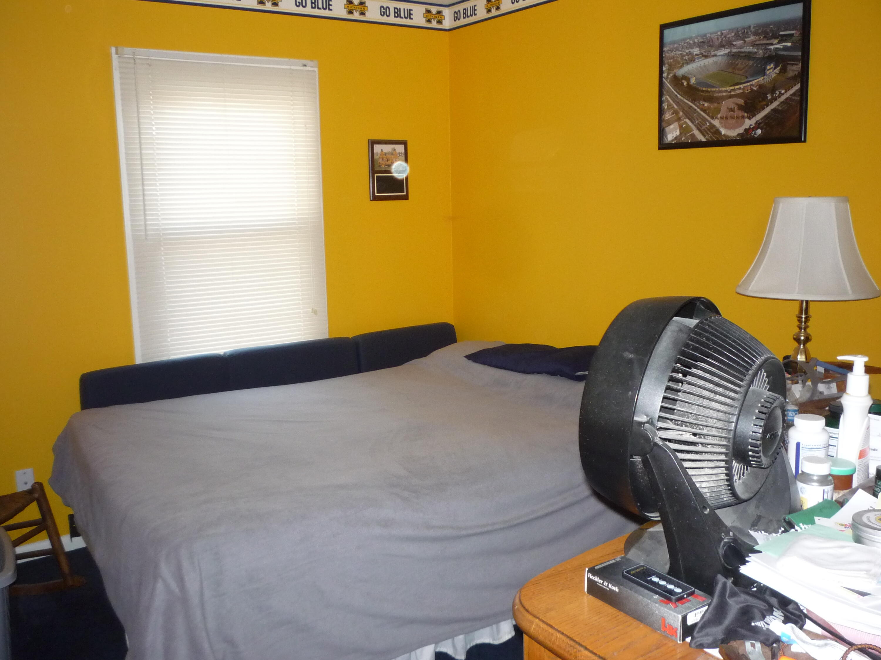 1192 Day Road Union City, MI 49094 - Photo 26 of 51 P1070376