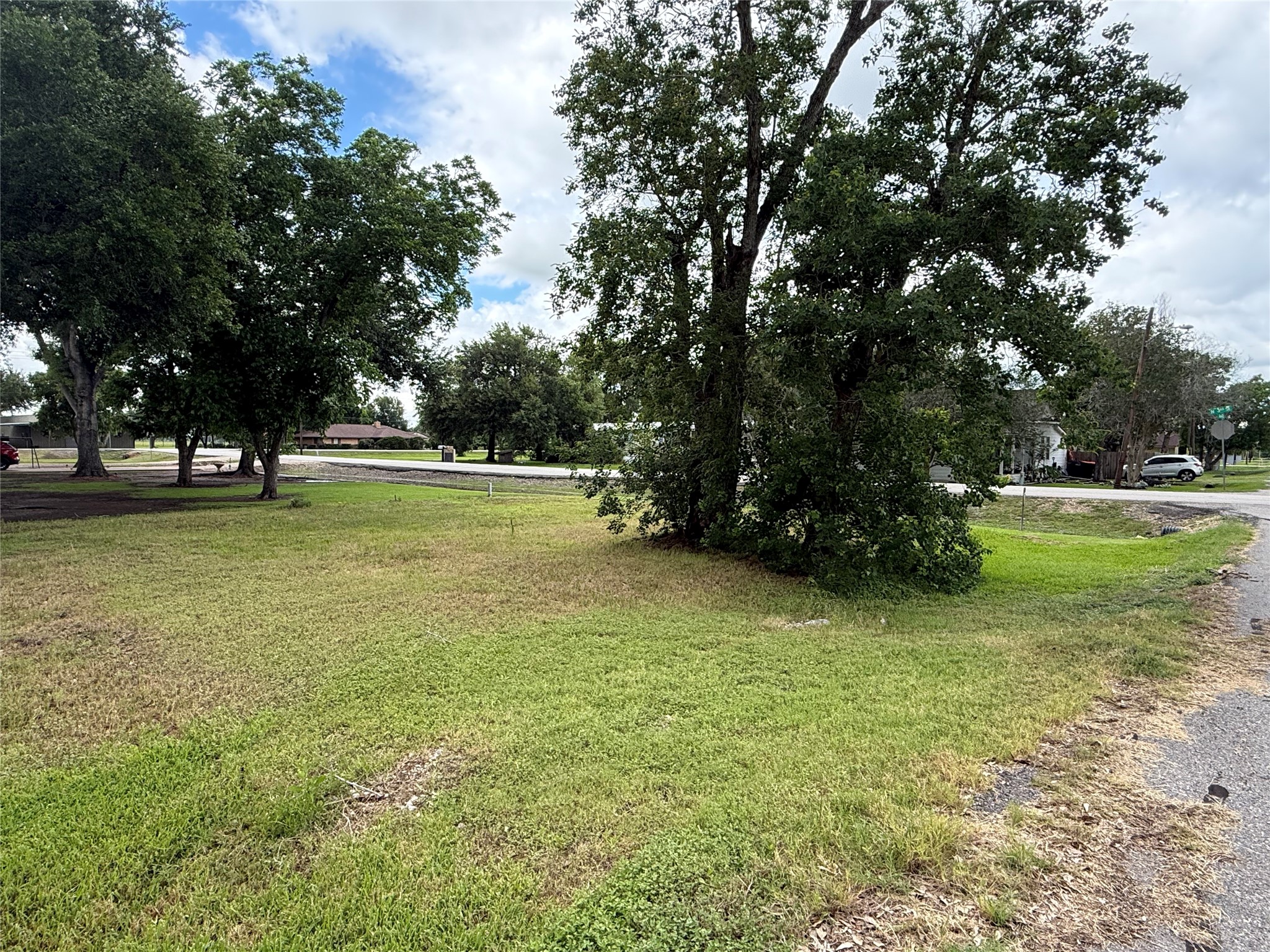 407 North 3rd Street Beasley, TX 77417 - Photo 6 of 12 a view of pool with trees