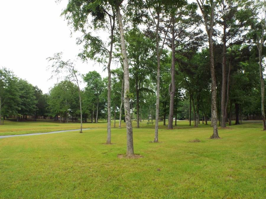113 Hampton Chase Madison, MS 39110 - Photo 41 of 44 Photo 41