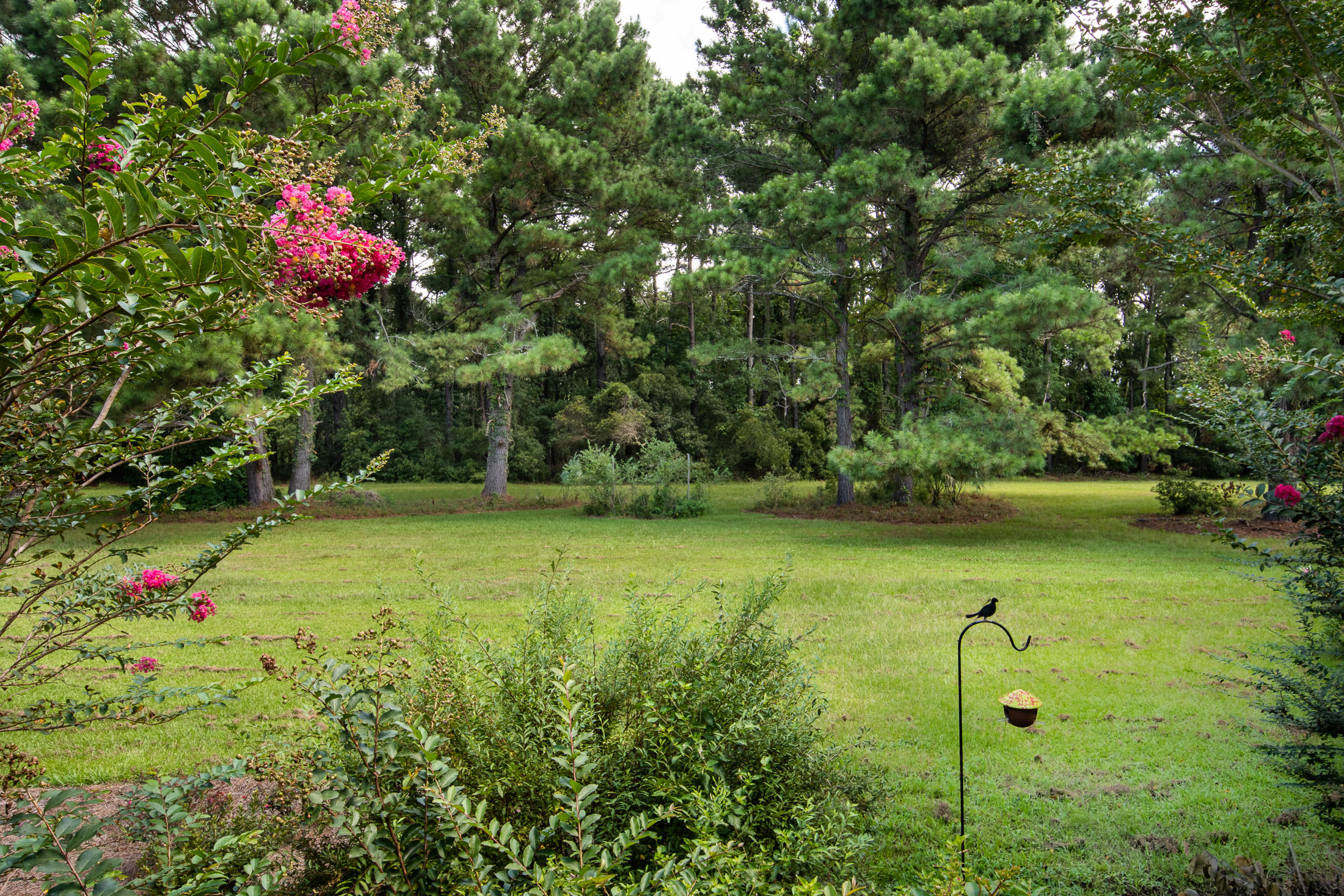 2660 Hamilton Road Johns Island, SC 29455 - Photo 25 of 31 2660Hamilton-56