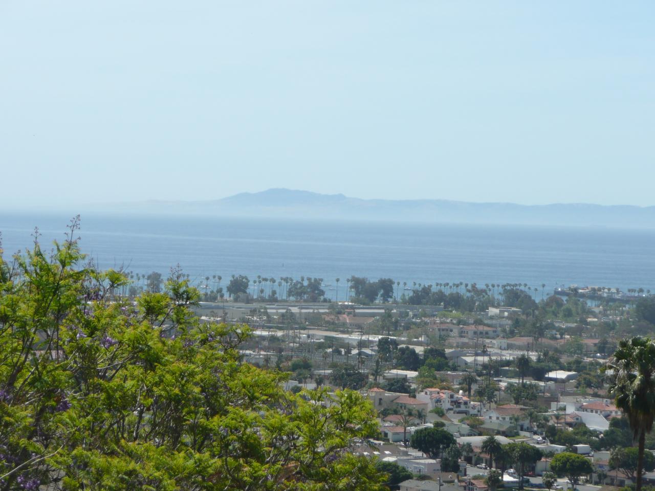 More views!