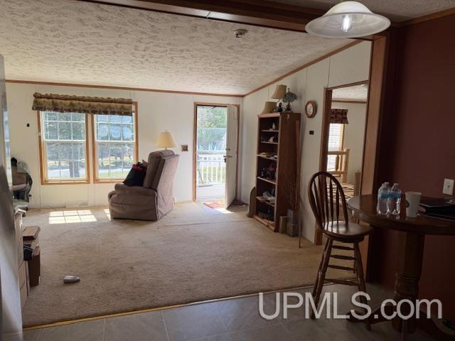 W9168 Town Corner Lake Road Pembine, WI 54156 - Photo 5 of 17