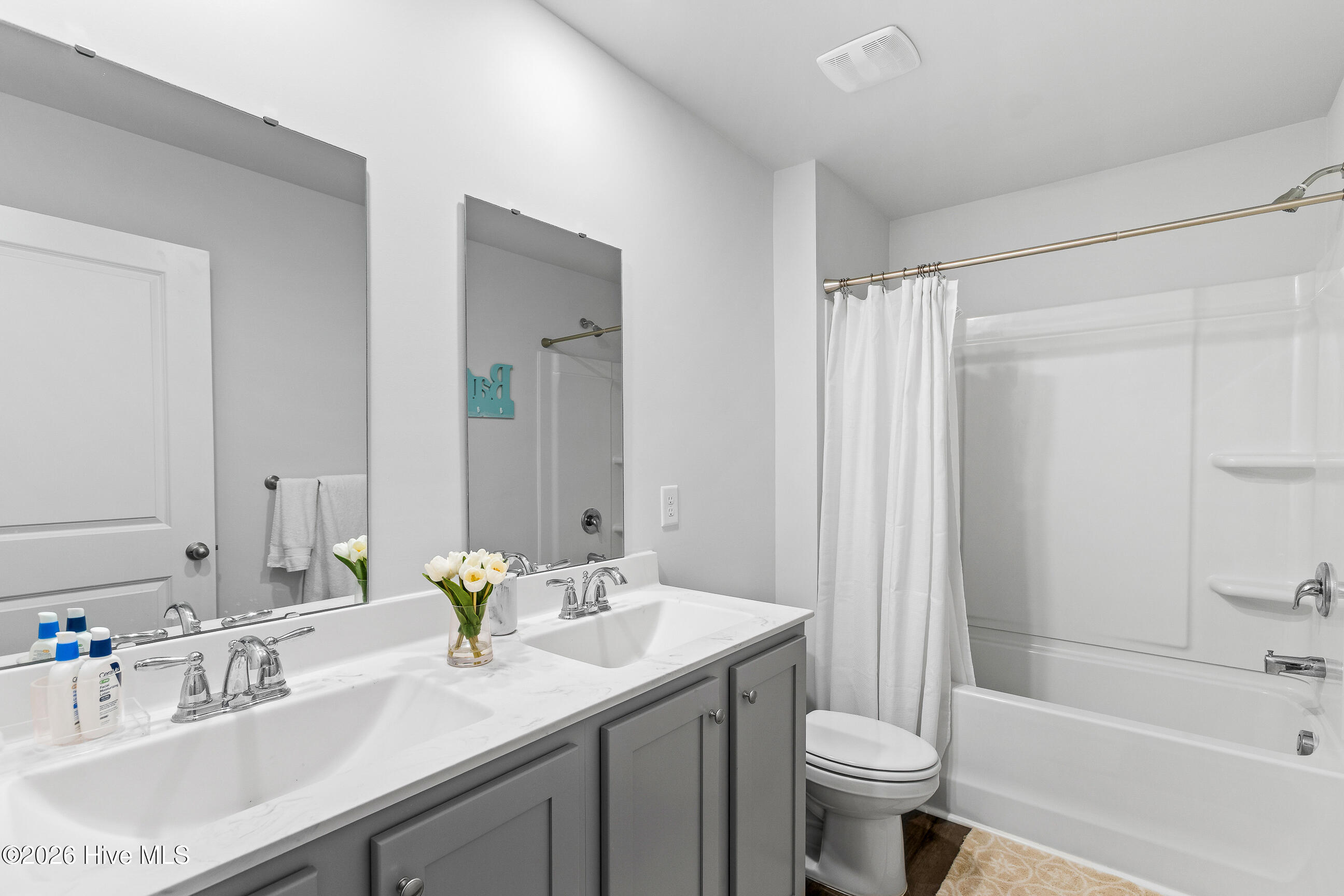 603 Needlerush Road Sneads Ferry, NC 28460 - Photo 23 of 43 Hall Bath