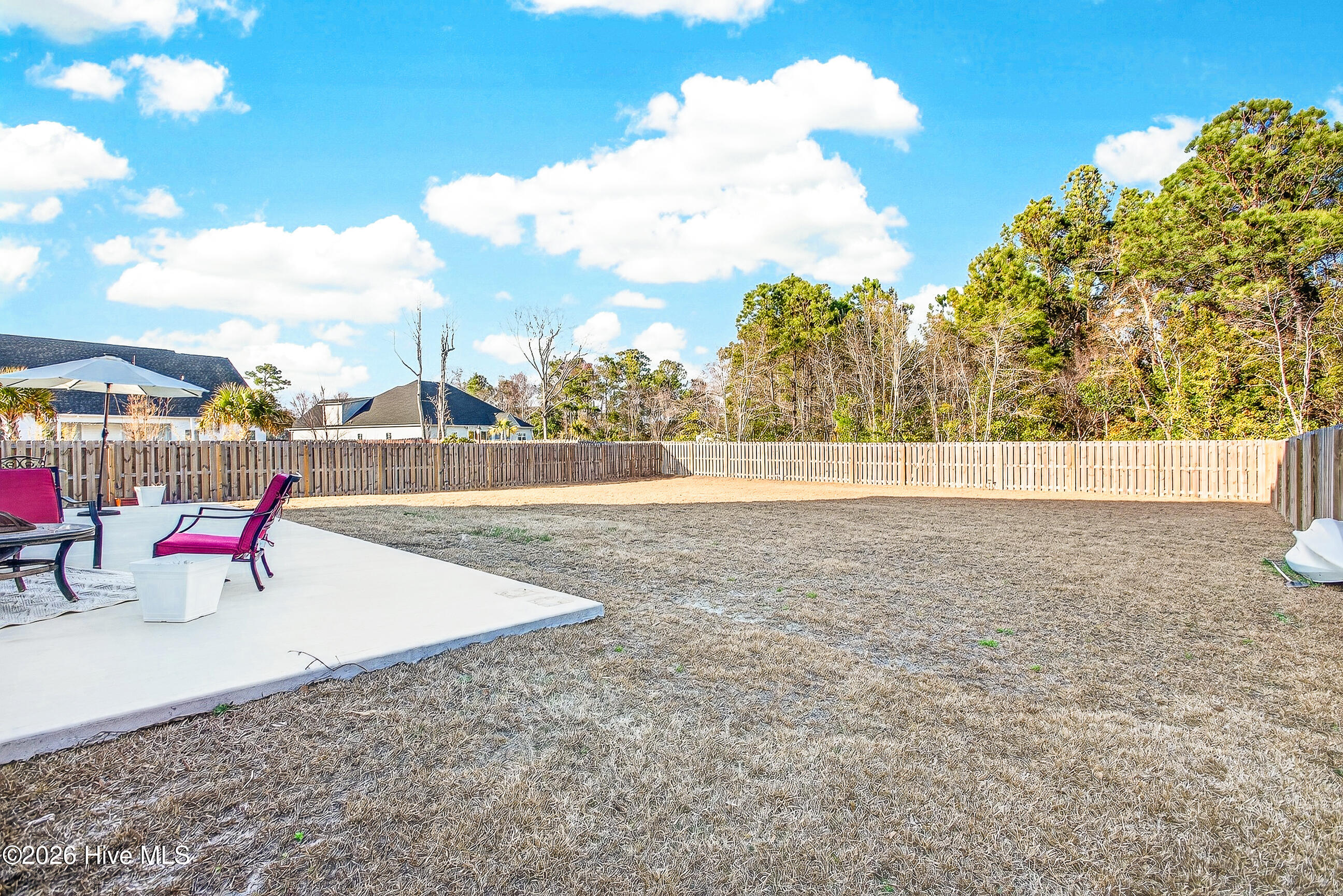 603 Needlerush Road Sneads Ferry, NC 28460 - Photo 30 of 43 Patio/Back Yard
