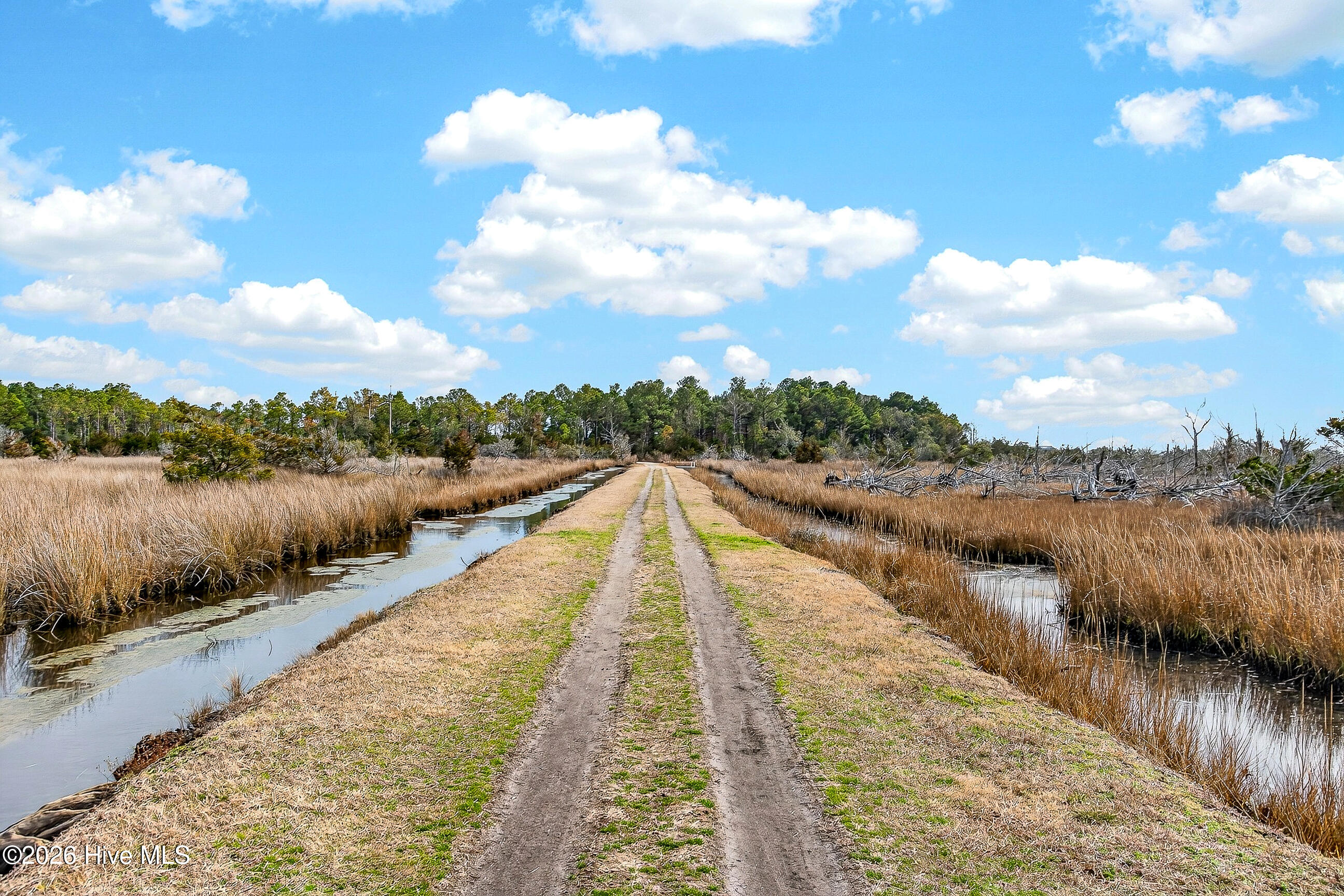 603 Needlerush Road Sneads Ferry, NC 28460 - Photo 40 of 43 55-8