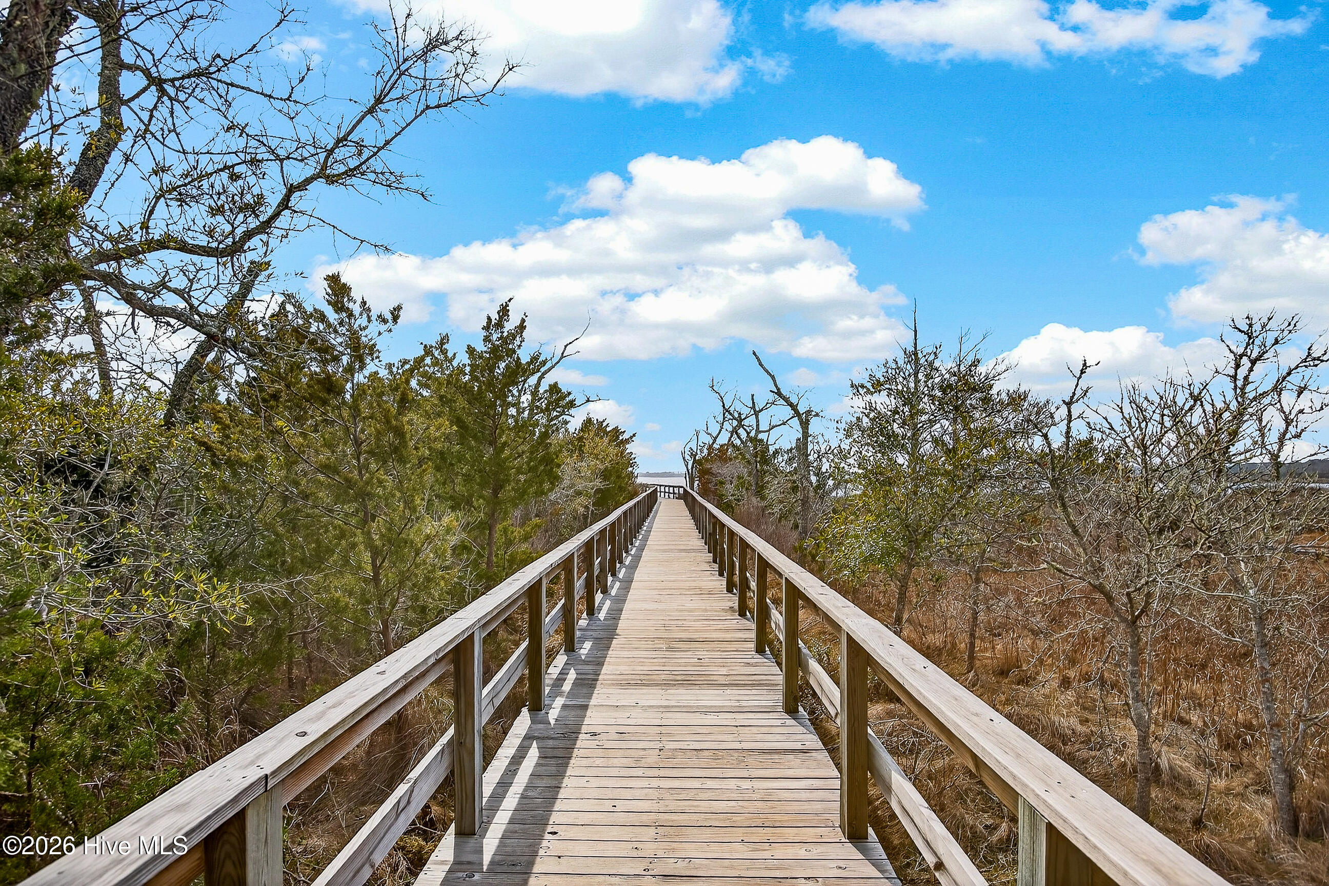 603 Needlerush Road Sneads Ferry, NC 28460 - Photo 41 of 43 55-9