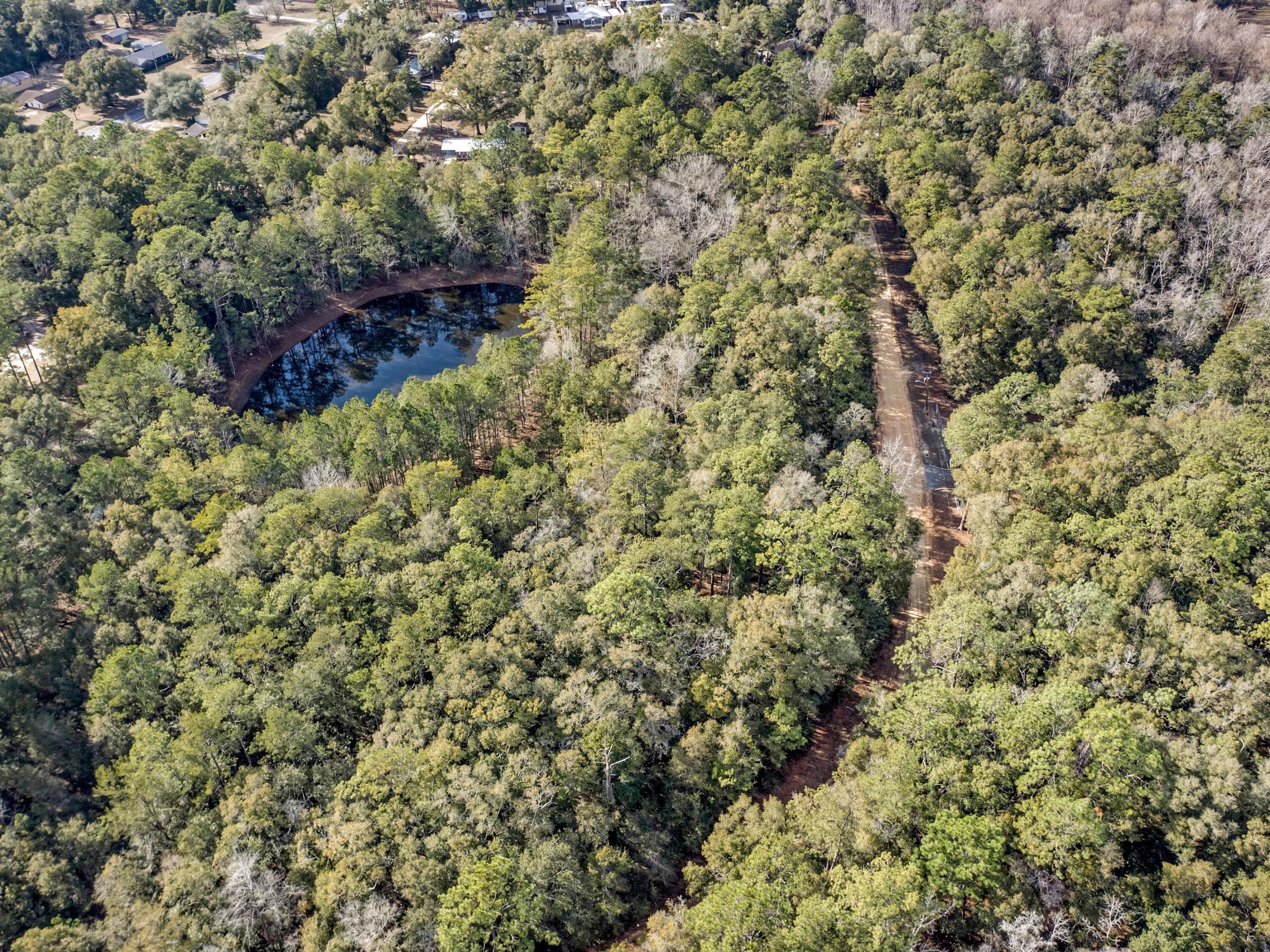 Lot 24 Blue Creek Road Ponce de Leon, FL 32455 - Photo 11 of 17 a picture of a tree