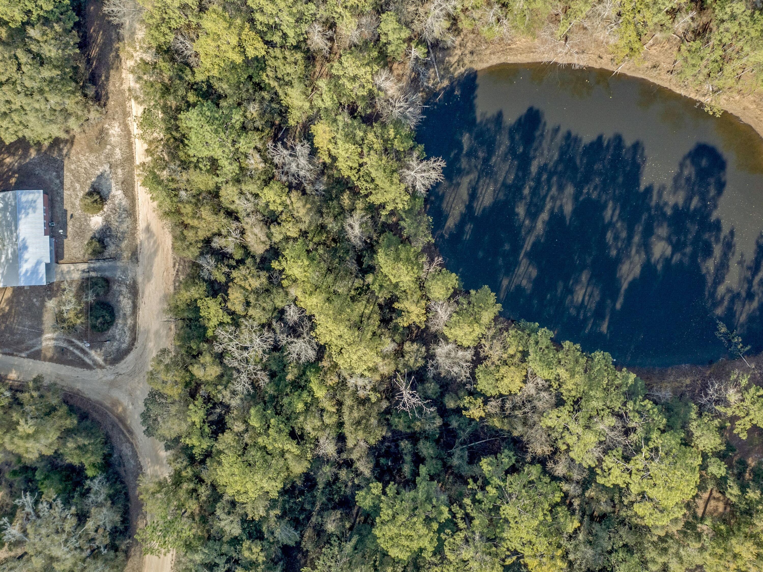 Lot 24 Blue Creek Road Ponce de Leon, FL 32455 - Photo 16 of 17 a view of a yard in a yard