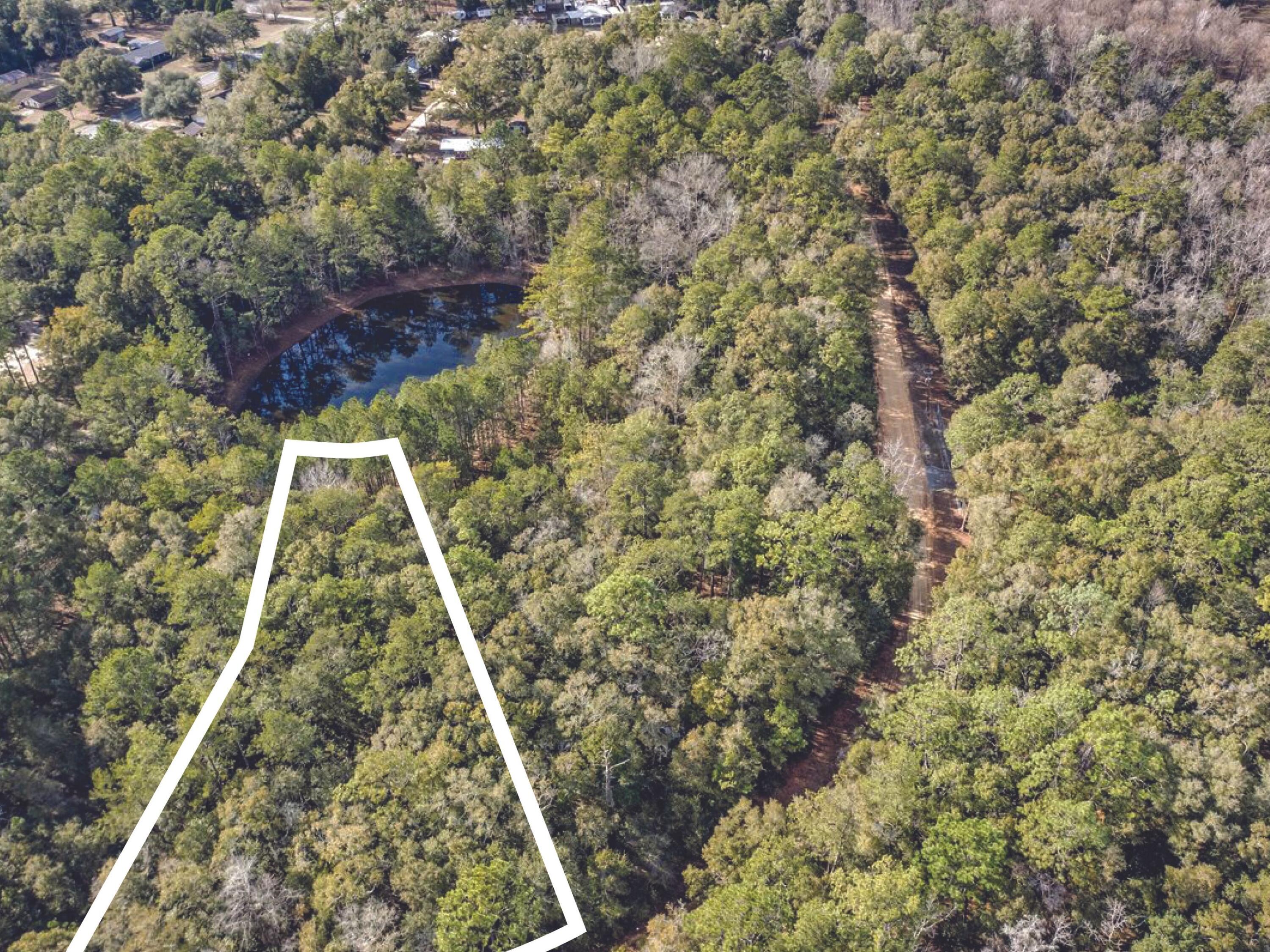 Lot 24 Blue Creek Road Ponce de Leon, FL 32455 - Photo 4 of 17 a view of a yard