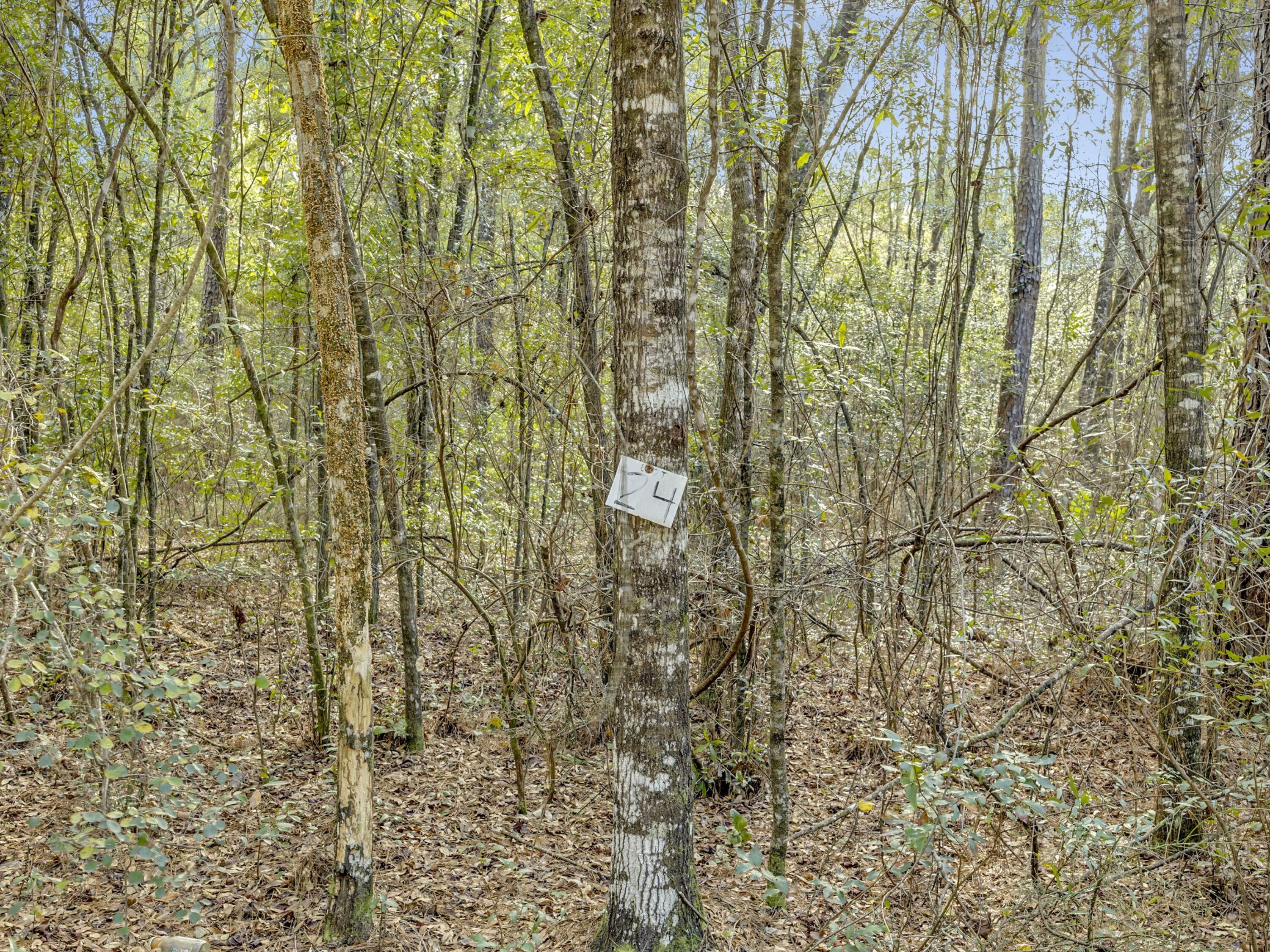Lot 24 Blue Creek Road Ponce de Leon, FL 32455 - Photo 5 of 17 a bathroom with a shower