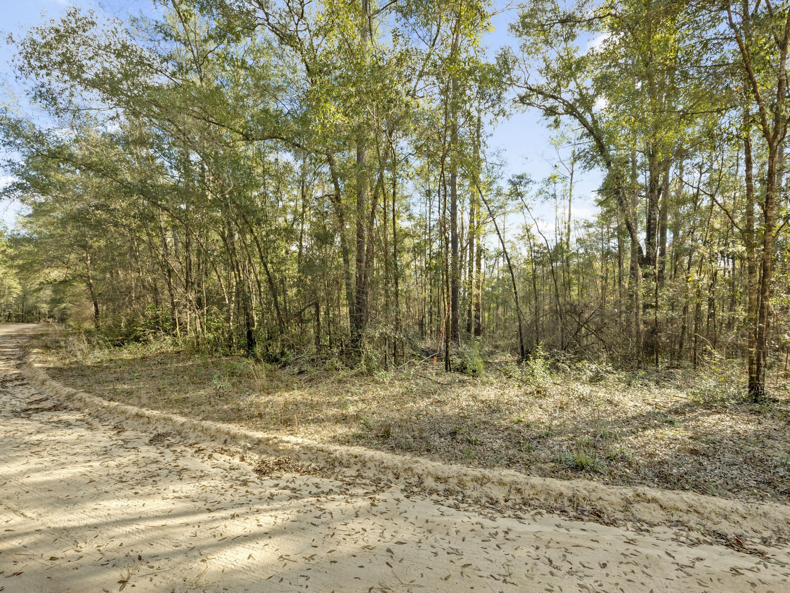 Lot 24 Blue Creek Road Ponce de Leon, FL 32455 - Photo 9 of 17 a view of a yard with trees