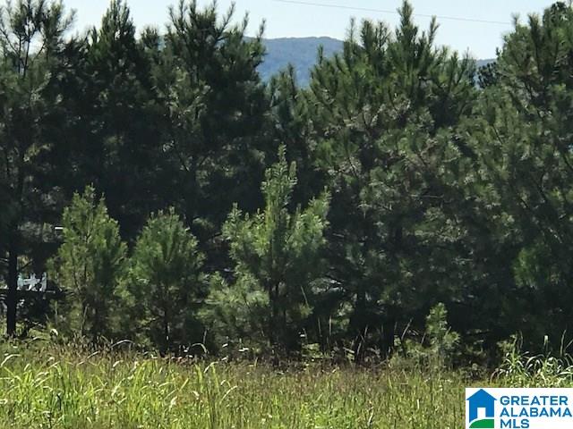 9 Easy Street Anniston, AL 36207 - Photo 8 of 22