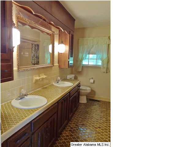 272 Dragline Road Leeds, AL 35094 - Photo 21 of 31