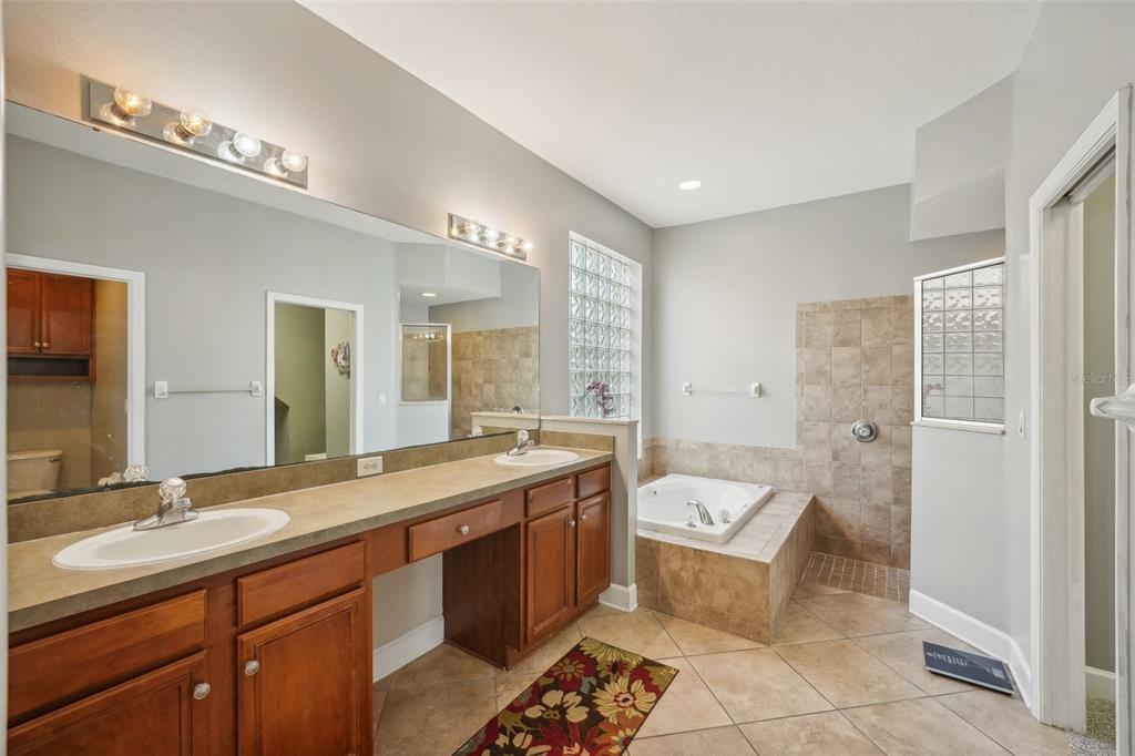 16751 Taylow Way Odessa, FL 33556 - Photo 40 of 54 a spacious bathroom with a granite countertop tub sink a mirror and a shower