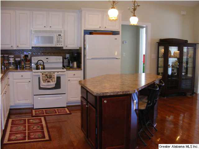 204 Chesser Way Chelsea, AL 35043 - Photo 9 of 32