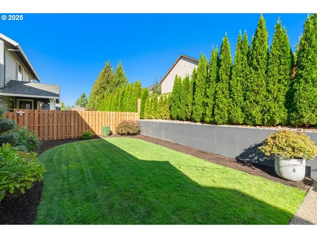 a view of a backyard