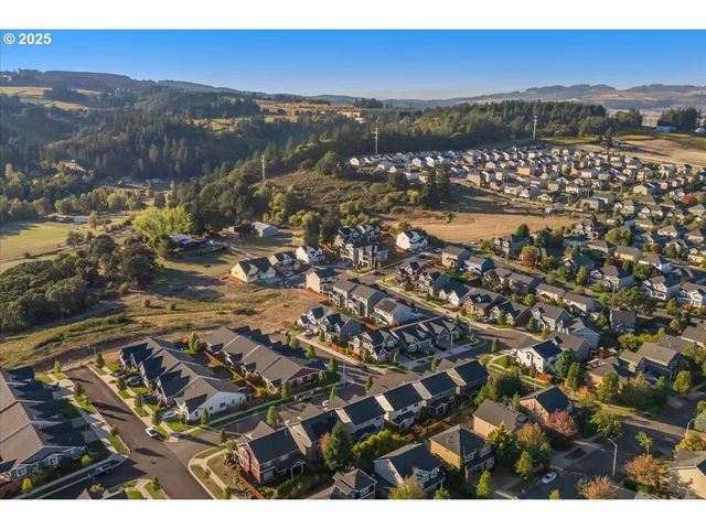 a view of city and mountain