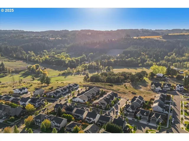 a view of city and mountain
