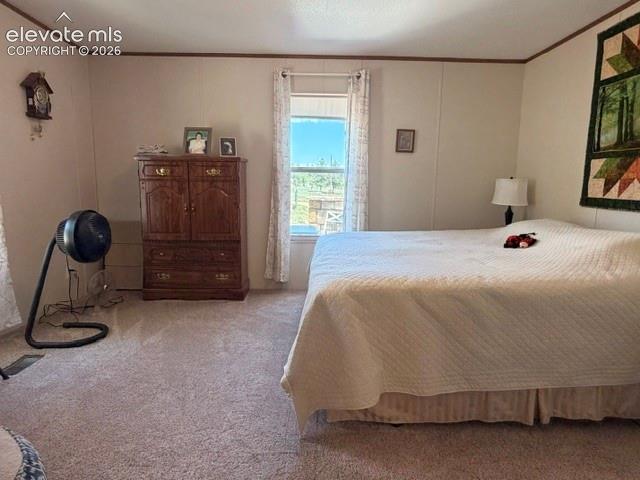 8084 Oak Drive Rye, CO 81069 - Photo 29 of 39 North facing