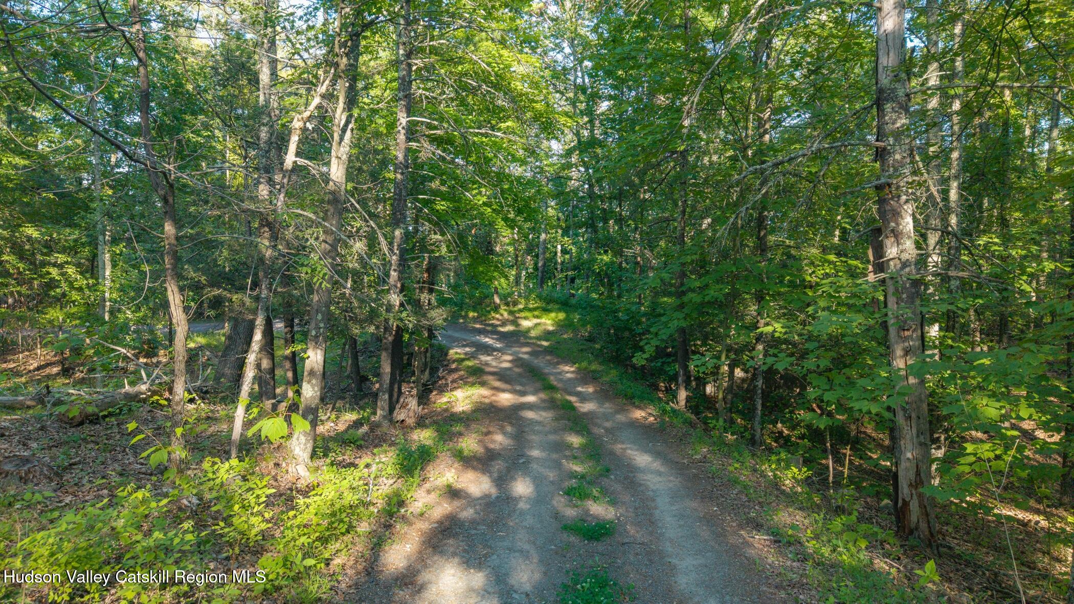 Tbd-2 Mt Airy Road Saugerties, NY 12477 - Photo 6 of 15 Driveway 2