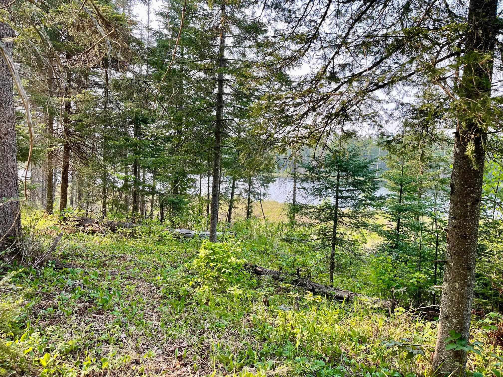 6409 Church Road Duluth, MN 55803 - Photo 35 of 39 Water view from clearing area.