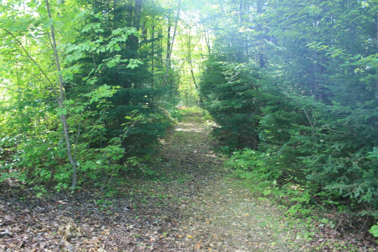 Tbd Tbd Hewitt Lane, Unit 7 Mercer, WI 54547 - Photo 21 of 31 Gallery Image 21