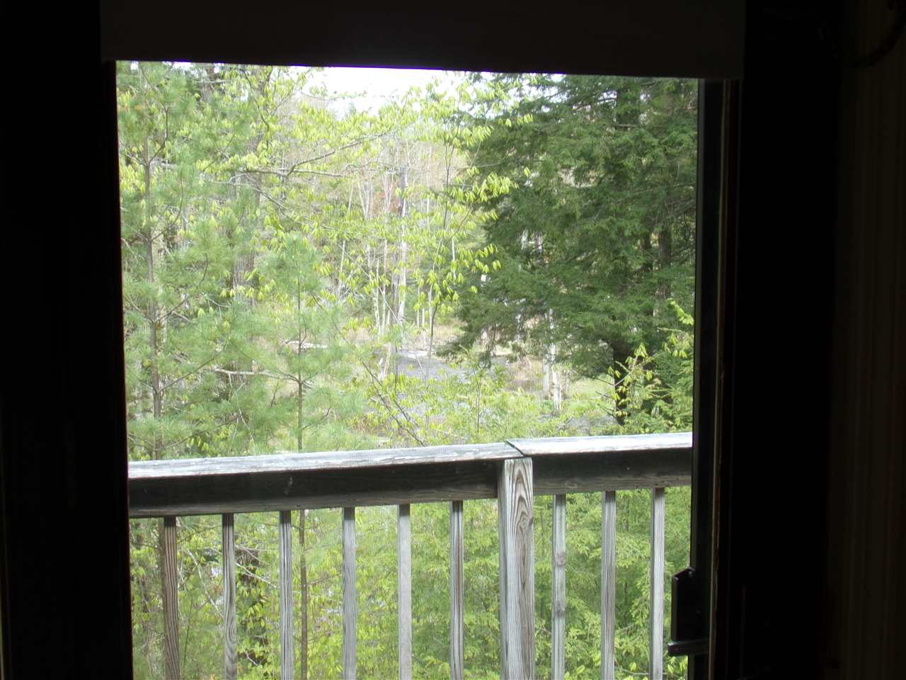 6 Maplewood Road Ossipee, NH 03814 - Photo 18 of 22
