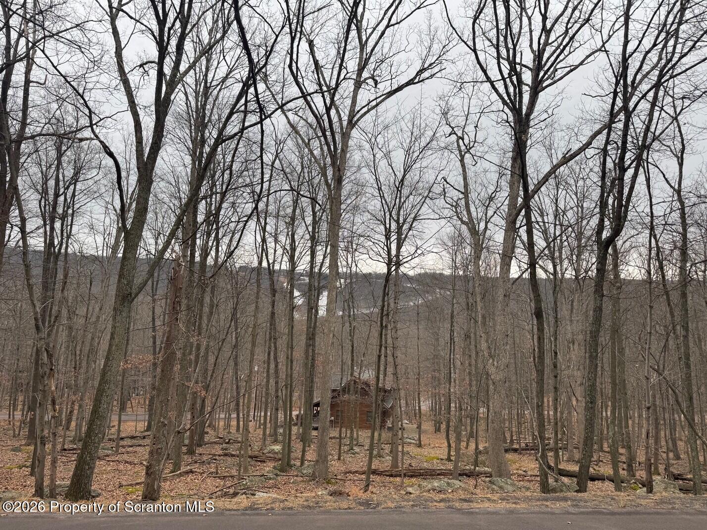 6 Iroquois Circle Hazleton, PA 18202 - Photo 2 of 12 a backyard of a house with large trees and wooden fence