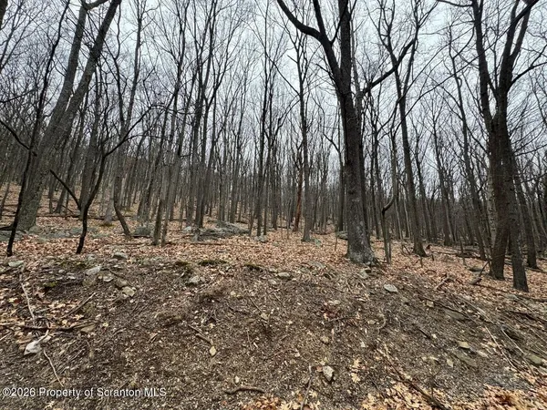 a view of outdoor space with trees