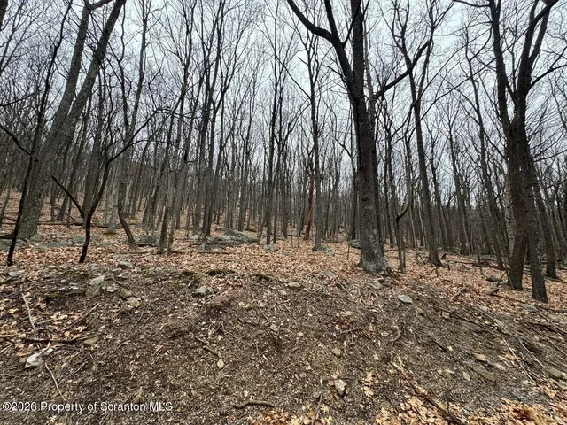 a view of outdoor space with trees